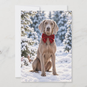 Weimaraner Red Bow Flat Holiday Card