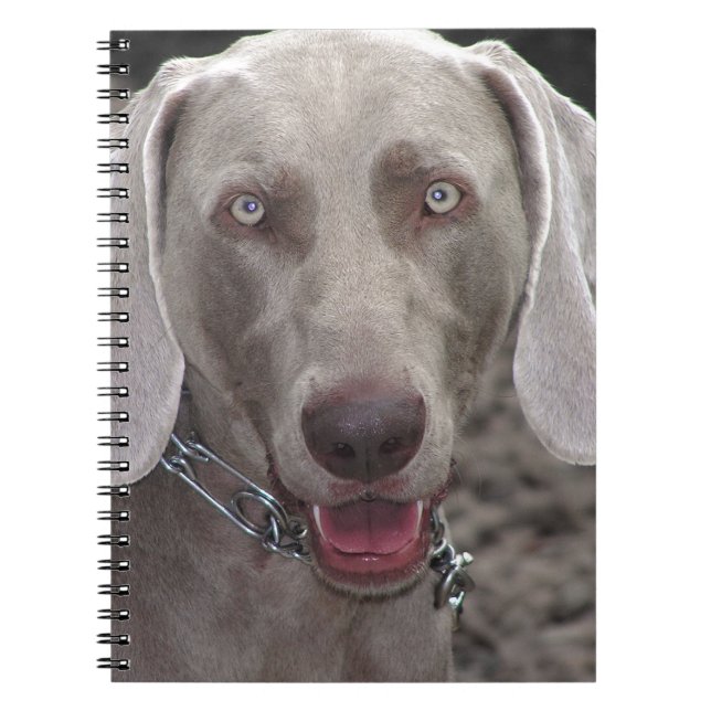 Weimaraner Spiral Notebook (Front)