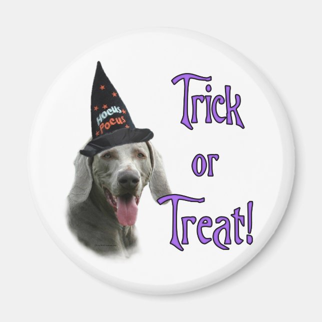 Weimaraner Trick Magnet (Front)