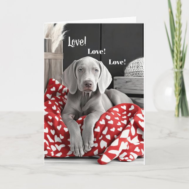 Weimaraner Valentine Card (Front)