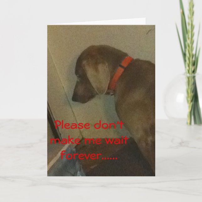 Weimaraner Valentine Holiday Card (Front)