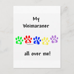 Weimaraner Walks Postcard