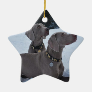 Weimeraner in the Snow Ceramic Tree Decoration