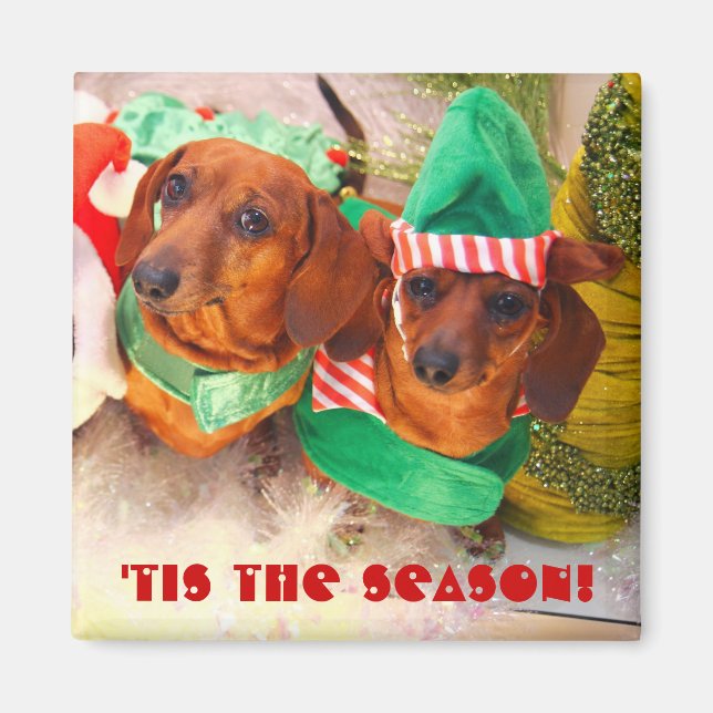 Weiner Dog Christmas Elf Magnet (Front)