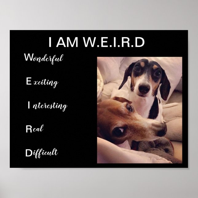 Weiner dogs poster (Front)