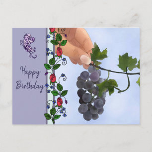 Weintrauben Postcard