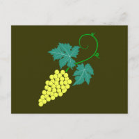 Weintrauben Rebe grapes grapevine