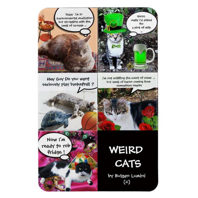 WEIRD CAT STORIES MAGNET (Vertical)