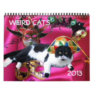 WEIRD CATS 2013 CALENDAR