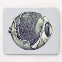 Weird Eyeball Modern Vintage Drawing | Grey