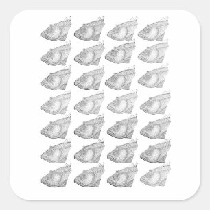 Weird Fish Head Pattern Square Sticker
