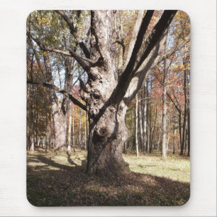 Weird Tree Mouse Pad