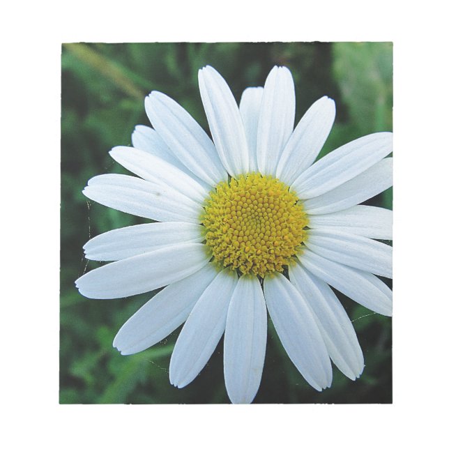 Weisse Margerite Notepad (Front)