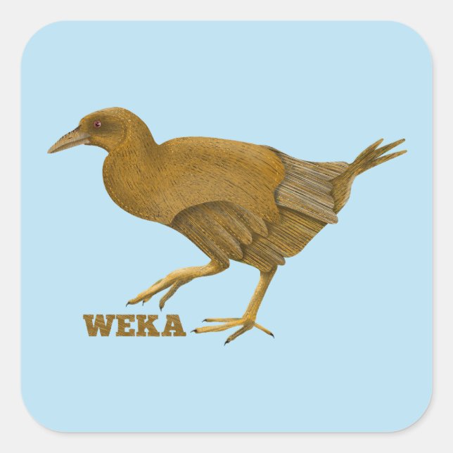 Weka N.Z. bird Square Sticker (Front)