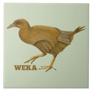 Weka N.Z. bird Tile