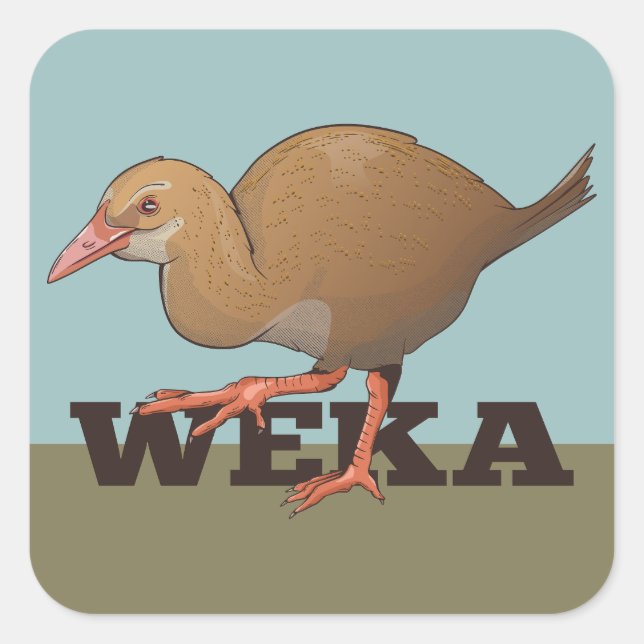 Weka New Zealand Bird Square Sticker (Front)