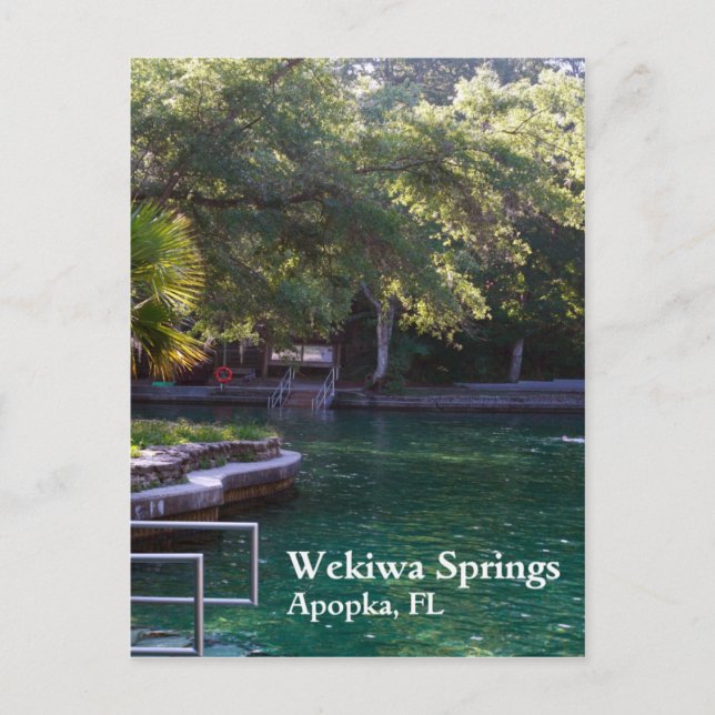 Wekiwa Springs, Apopka, FL Postcard (Front)