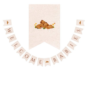 Welcome babies gender neutral twins bunting banner
