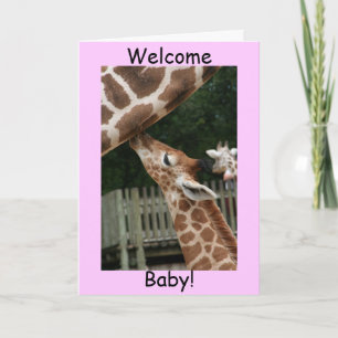 Welcome Baby Announcement
