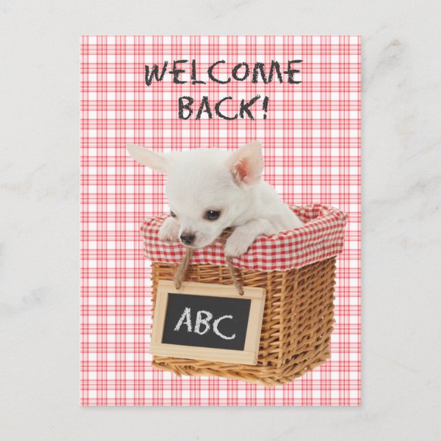 Welcome back puppy postcard (Front)