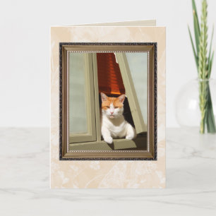 welcome home cat card