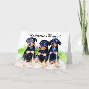 Welcome Home  Doberman Puppies greeting card