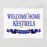 Welcome Home Kestrels