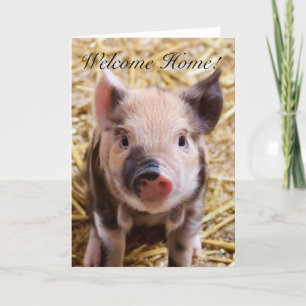 Welcome Home Piglet greeting card