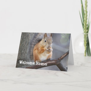 Welcome Home Red Squirrel Greeting Card