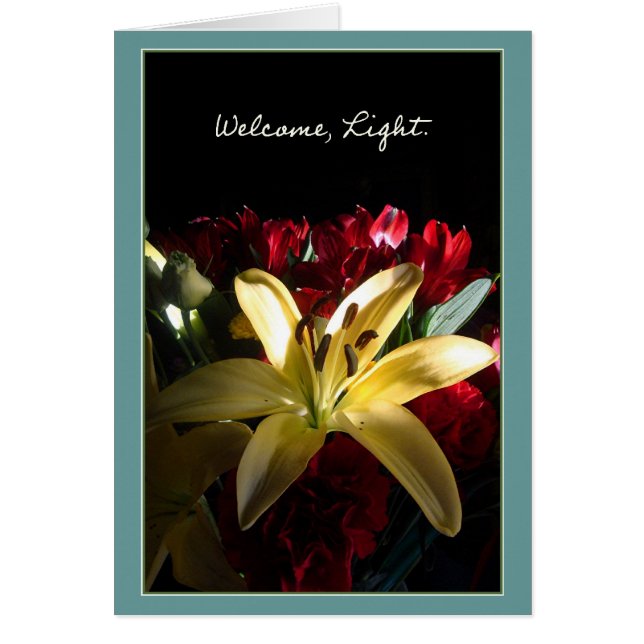Welcome, Light / Bienvenida, luz (Front)