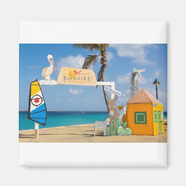 Welcome photo spot at sea in Bonaire.JPG Magnet (Front)
