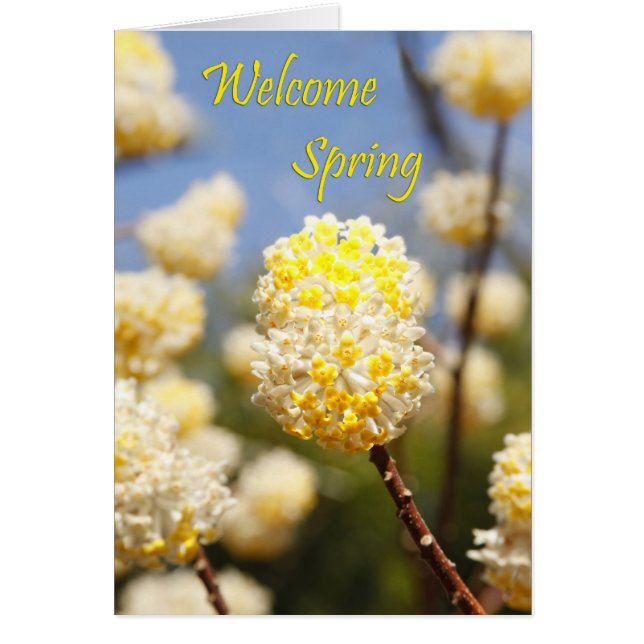 Welcome Spring (Front)