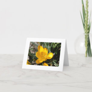 Welcome Spring Card