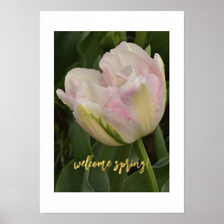 Welcome Spring! Pink Tulip Foil Text Print Poster