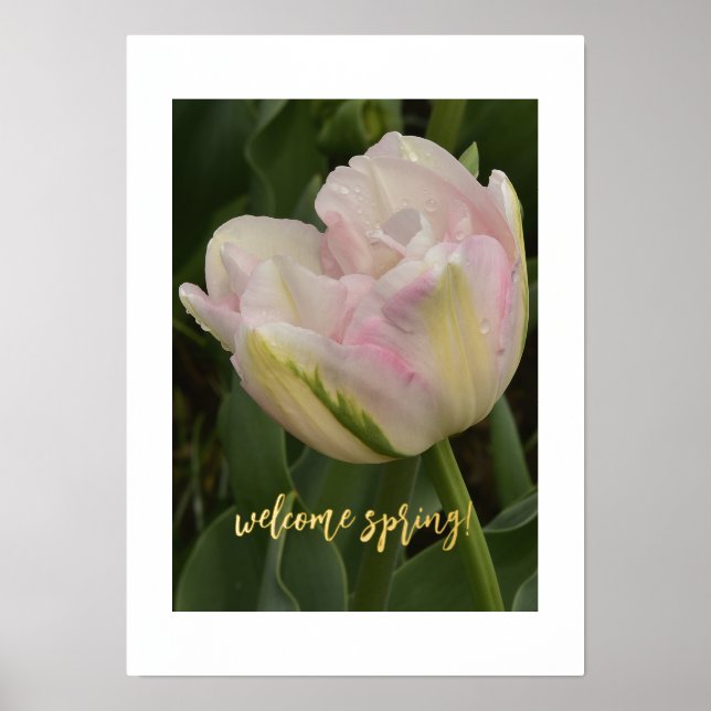 Welcome Spring! Pink Tulip Foil Text Print Poster (Front)