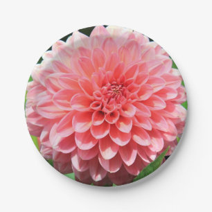 Welcome Spring with a Giant Pink Dahlia Paper Plate