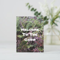 Welcome To Cabin Ferns Photo Forest Plant Guest