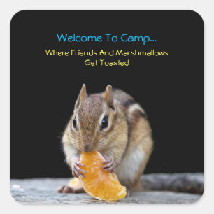 Welcome To Camp Square Sticker