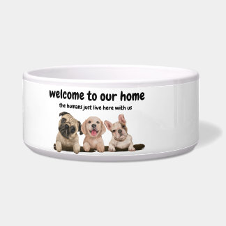 Welcome to dog's home - funny dog quote