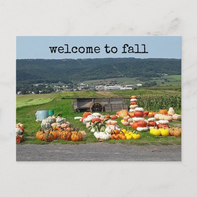 welcome to fall pumpkin farm post card (Front)
