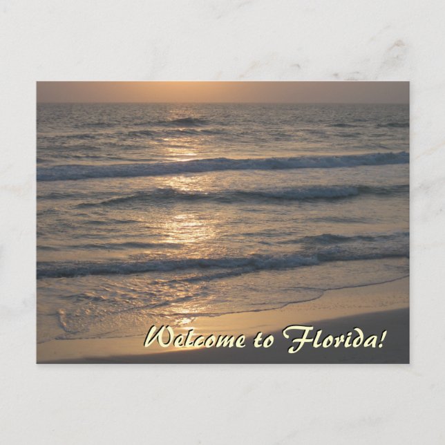 Welcome to Florida Postcard (Front)