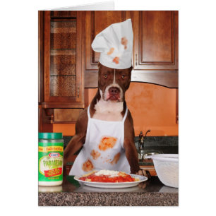 Welcome to my kitchen