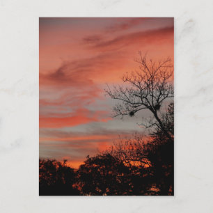 Welcome To My Sky Postcard