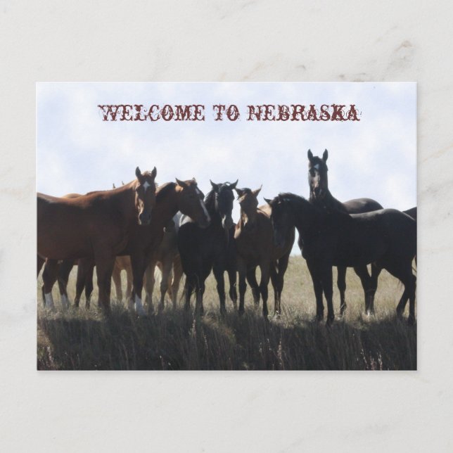 Welcome To Nebraska Postcard (Front)