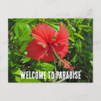 Welcome To Paradise Tropical Flower Beach House