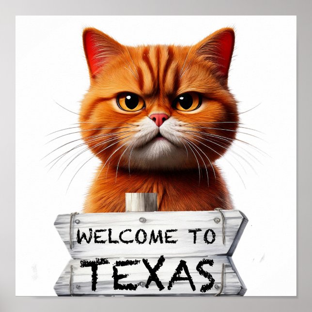 Welcome to Texas Poster (Front)