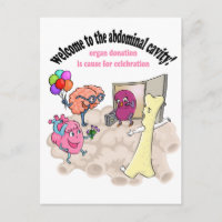 Welcome to the abdominal cavity!