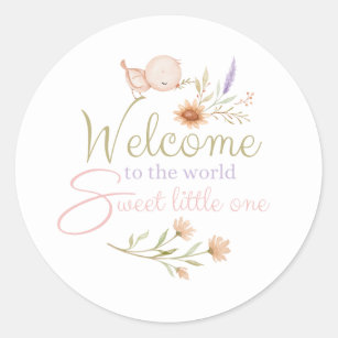 Welcome To The World Baby Stickers 