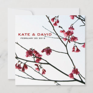 Welcoming Spring/Oriental Zen All-Occasion Flora
