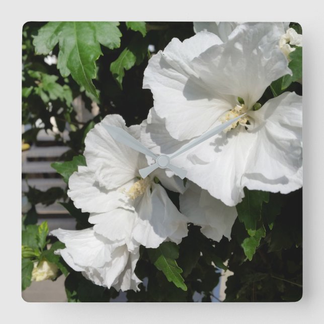 welcoming white flowers square wall clock (Front)